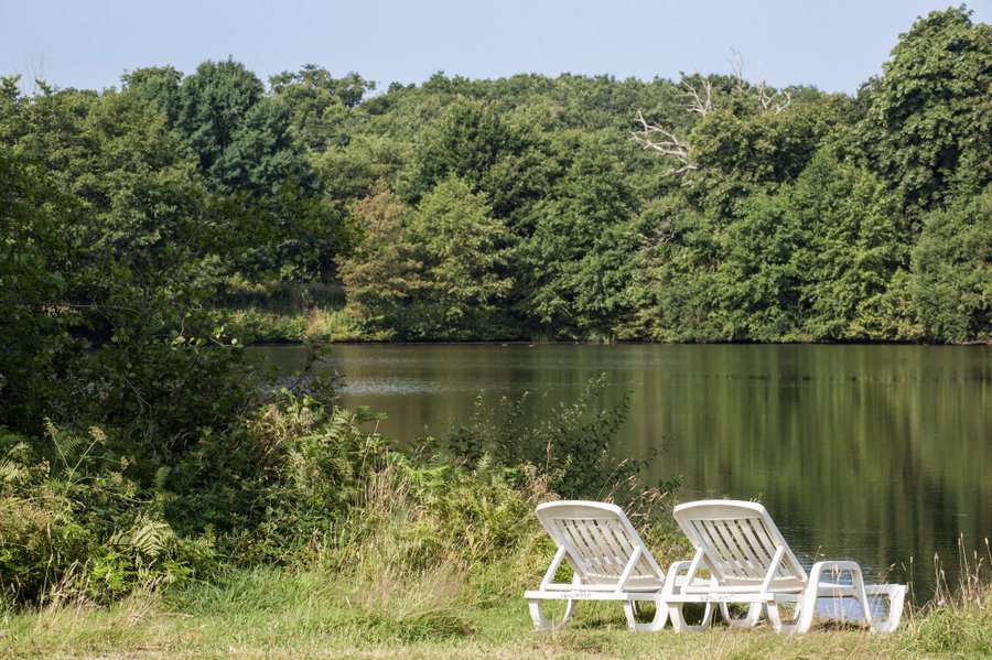 Domaine AbracadaRoom : Château de la Forêt - Image 4