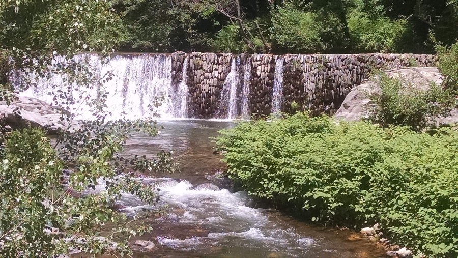 Domaine AbracadaRoom : Le Mas du Bois Barbeau - Image 10