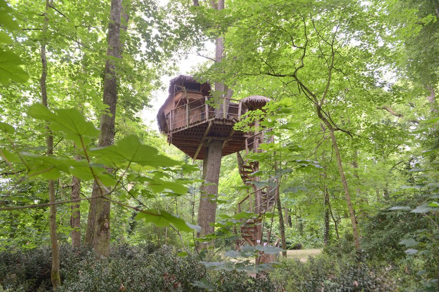 Hébergement AbracadaRoom : L'aventurière - Image 12
