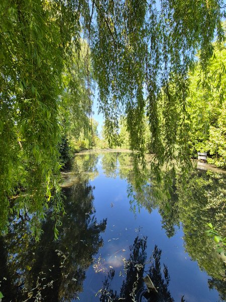Hébergement AbracadaRoom : Dans un arbre perché - Image 30