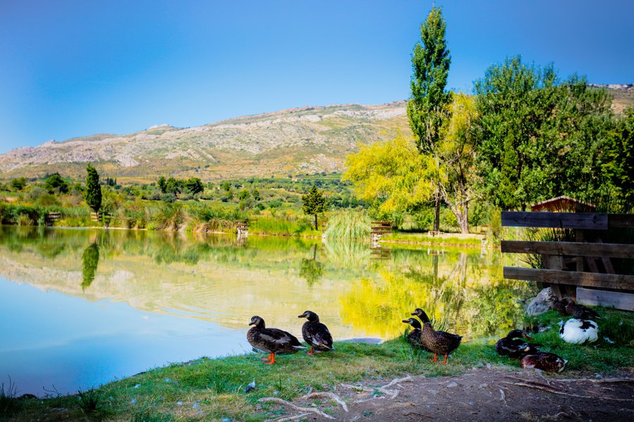 Domaine AbracadaRoom : Domaine La Peiriere - Image 2