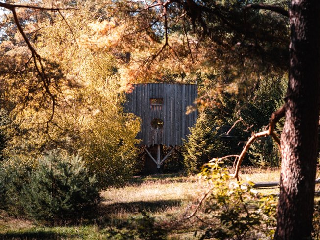 Hébergement AbracadaRoom : Cabane perchée Deluxe Famille avec Spa - Image 2