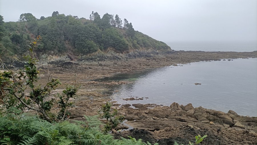 Domaine AbracadaRoom : Le Chaudron Magique de Loguivy - Image 8