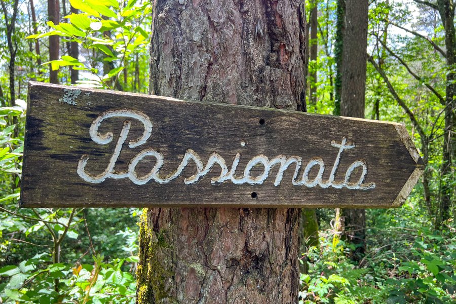 La Yourte Passionata — photo 2