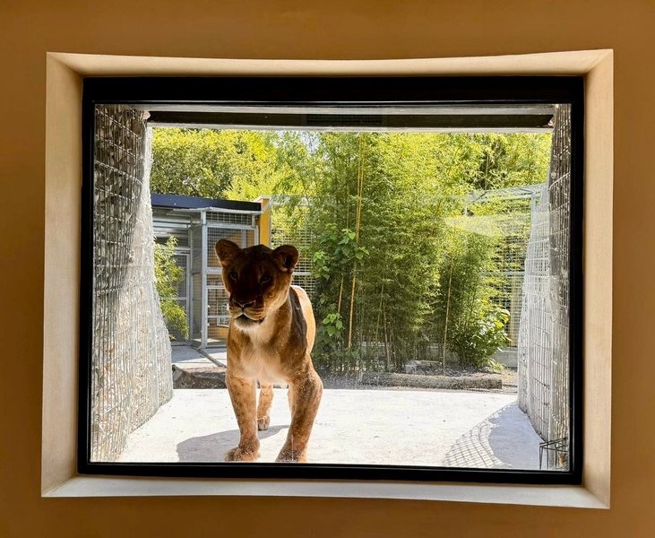 Domaine AbracadaRoom : Zoo de Bordeaux Pessac - Night expérience - Image 15