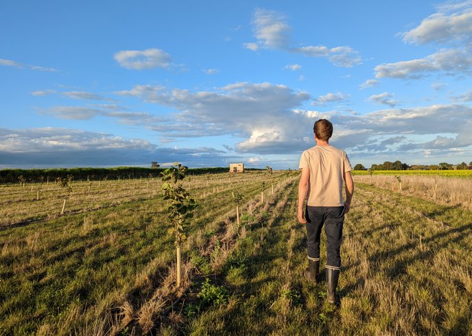 Hébergement AbracadaRoom : La Tiny House d'Henri - Image 2
