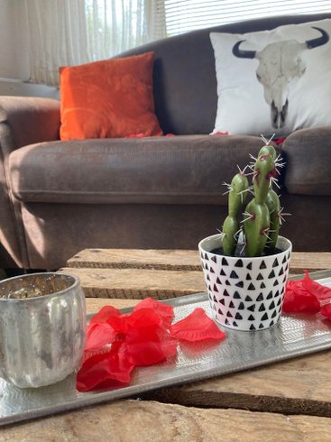 Hébergement AbracadaRoom : Caravane Airstream & SPA - Image 11