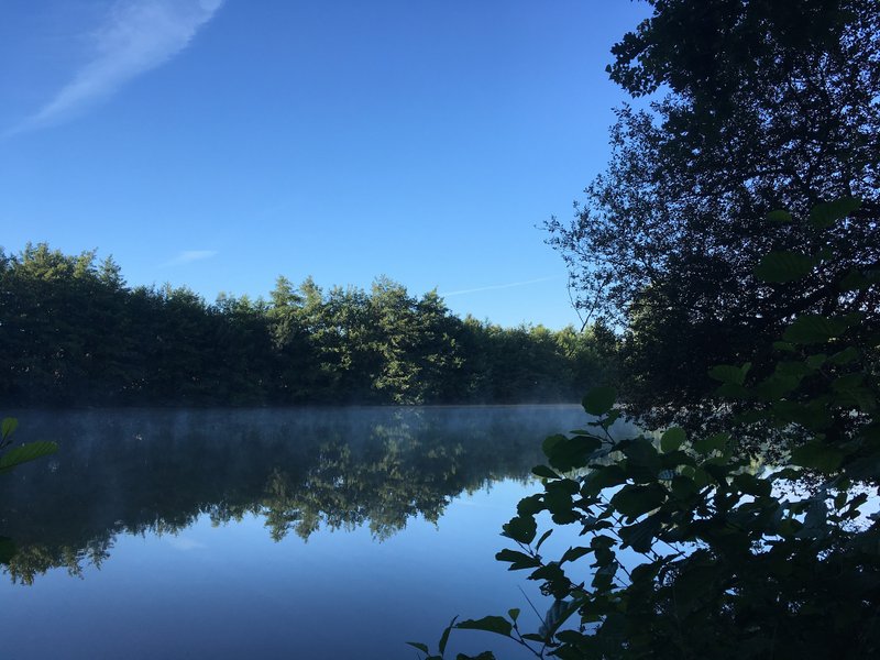 Domaine AbracadaRoom : Les Fées du moulin - Image 9