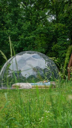 Hébergement AbracadaRoom : Bulle transparente - Royaume des arômes - Image 13