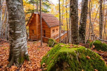 Cabane des Sylphes & Spa à Saint Léger Les Mélèzes (1)
