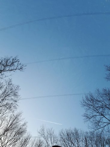 Hébergement AbracadaRoom : Natur'Bulle - Image 2