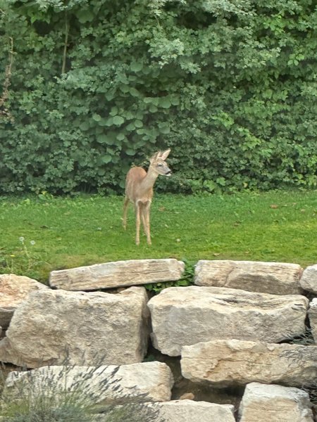 Hébergement AbracadaRoom : Mon Cabanon - Image 12