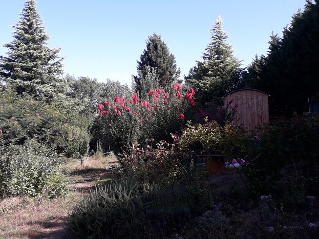 Domaine AbracadaRoom : NaturoSpirit - Image 3