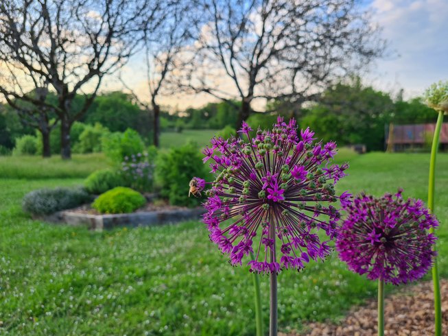 Domaine AbracadaRoom : Nids en Périgord - Image 1
