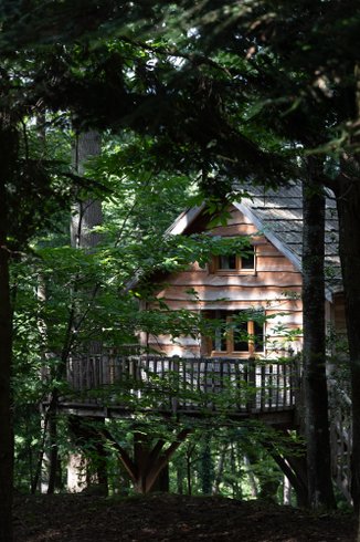 Hébergement AbracadaRoom : Cabane Ours - Image 3