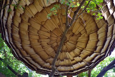 La Cabane du Verger & Spa à La Chapelle Aux Naux (4)