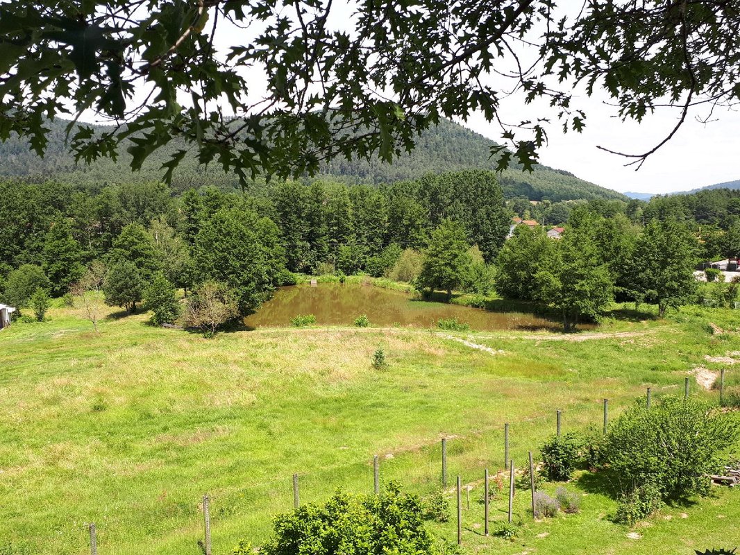 Kota chambre des Cambuses & Bain nordique à Saint Dié Des Vosges (25)