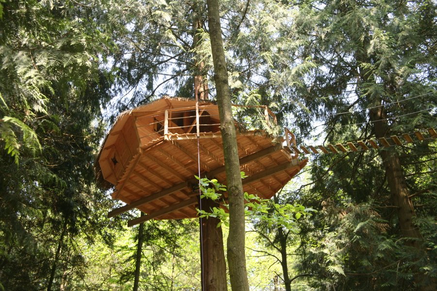 Hébergement AbracadaRoom : Cabane Tyrolienne n°8 - Image 2