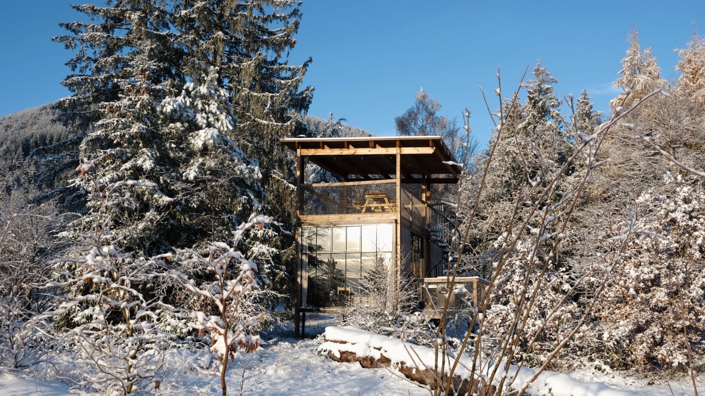 Canopée à Plaine (1)