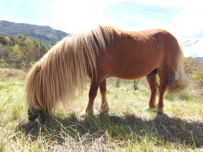 Hébergement AbracadaRoom : Dôme & Spa en Drôme provençale - Image 9