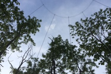 La Bulle à Siersthal (4)