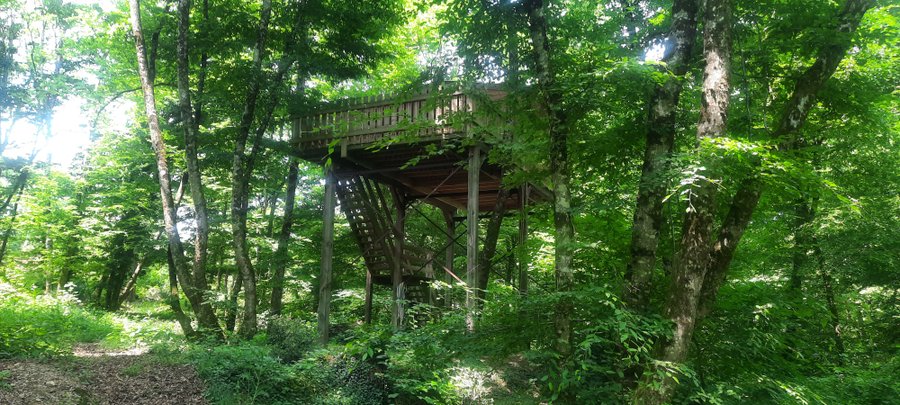 Hébergement AbracadaRoom : Cabane de l'Augis Nature - Image 20