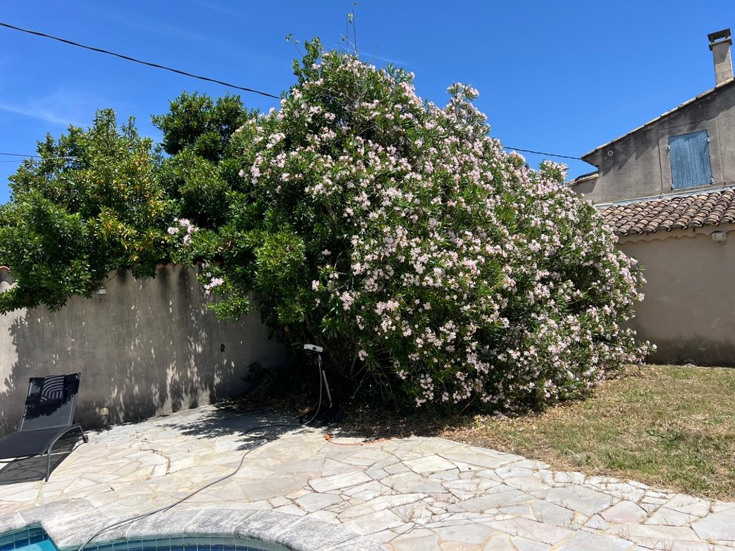 MAS DES AMANDIERS à Jonquieres (7)