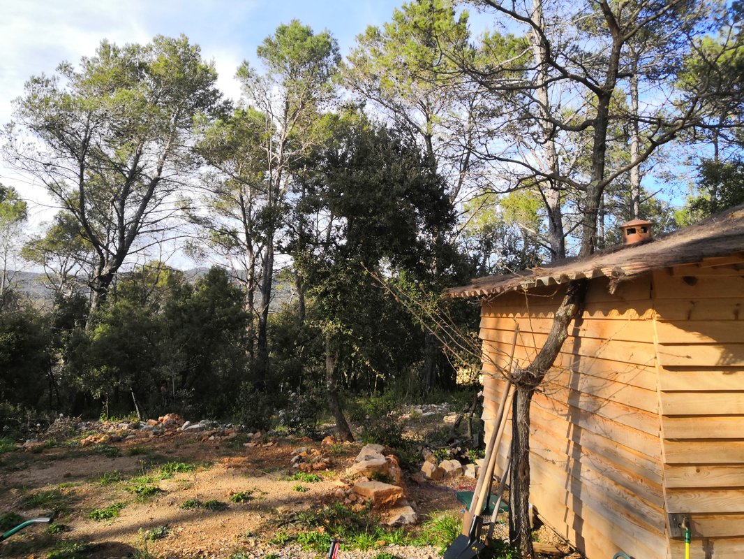 Yourte en Provence & piscine à Besse Sur Issole (40)