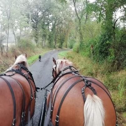 Hébergement AbracadaRoom : TIPI SIOUX - Image 10