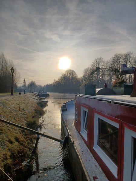 Domaine AbracadaRoom : Arche de Noé - Image 3