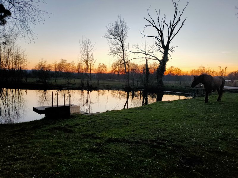 Domaine AbracadaRoom : Les Aires en scènes - Image 10