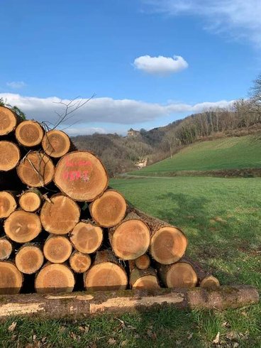 Hébergement AbracadaRoom : Les Logettes de Caroline, Ecolodge & Bain Nordique - Image 68