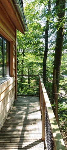 Hébergement AbracadaRoom : La Pat' de l'ours - Image 9