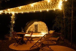 Bulle  au coeur des bois- Royaume des Textures