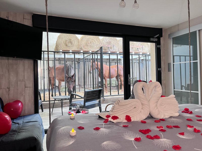 Hébergement AbracadaRoom : Suite 3 - 3 pers. terrasse avec des chevaux pour voisin de chambre - Image 6