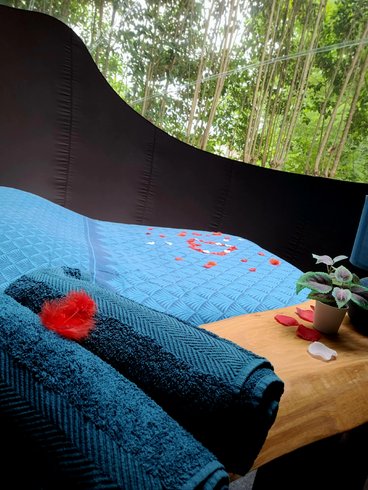 Hébergement AbracadaRoom : Bulle Spa Pégase - Image 2