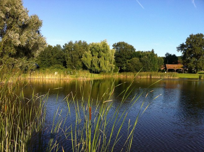 Domaine AbracadaRoom : La Chouette étoilée - Image 1