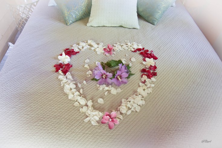 Hébergement AbracadaRoom : La Cabane Pêcheur de Lune & Spa - Image 10