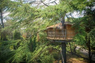 Cabane dans les arbres Hérault