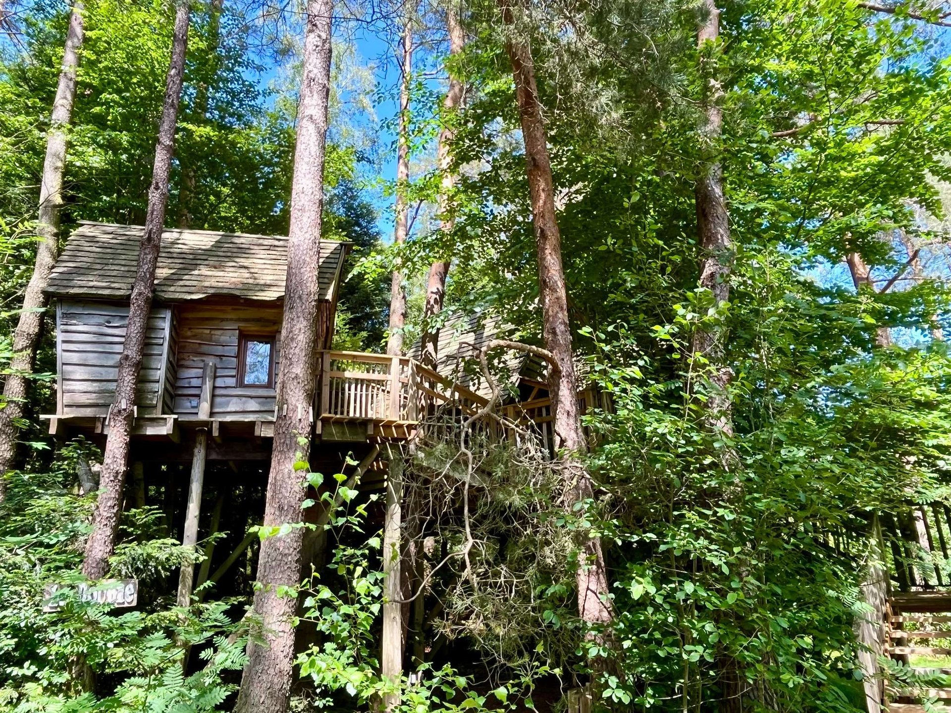 Cabane perchée Cosy Famille