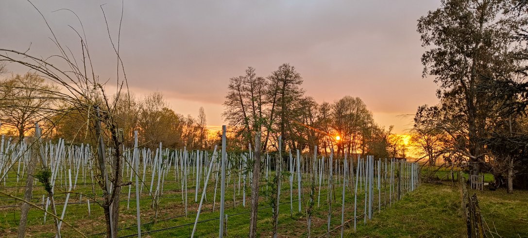 Hébergement AbracadaRoom : Le Clos des Gojis - Route de Saint-Emilion - Image 18