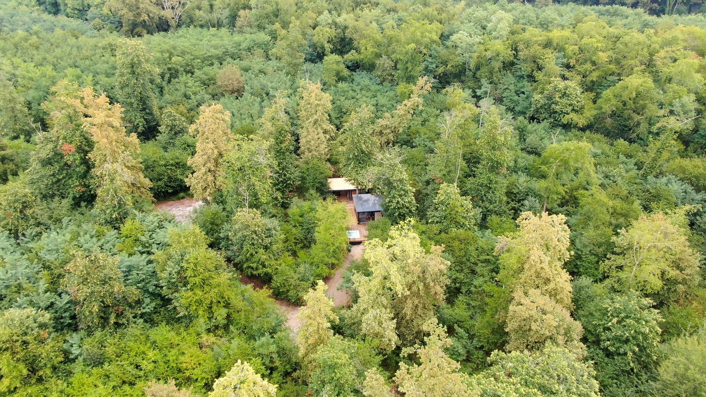 Ecolodge So Wood 33 à Landiras (10)