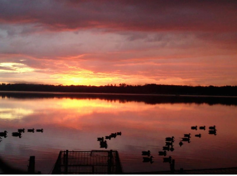 Domaine AbracadaRoom : Chez Sabrina et Guillaume - Image 6