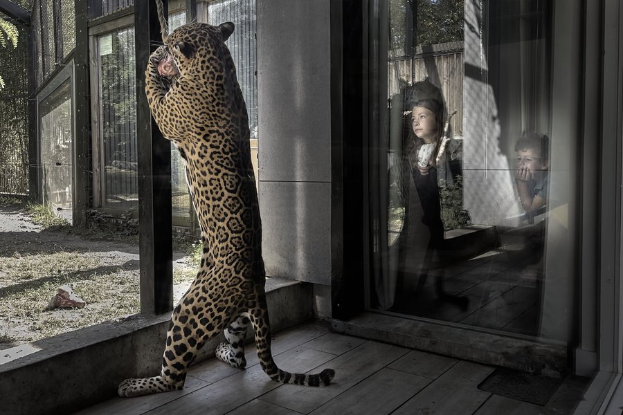 Lodge Jaguars & Spa & Dîner - Accès au zoo — photo 2