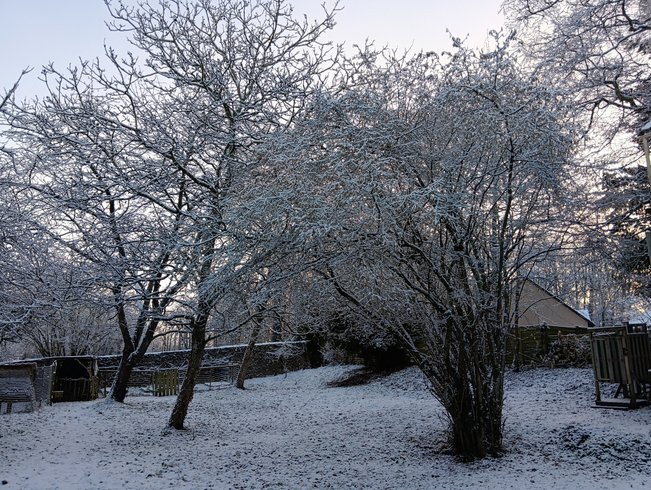 Hébergement AbracadaRoom : Maisonnette perchée dans les arbres tout équipée - Image 25
