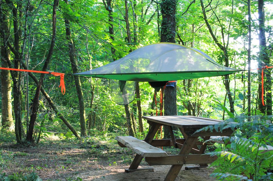 Hébergement AbracadaRoom : Tente suspendue Petit Ours - Image 3