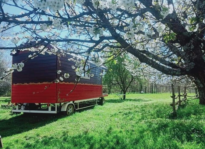 Domaine AbracadaRoom : Centre Agro Environnemental de Brassacou - Image 3