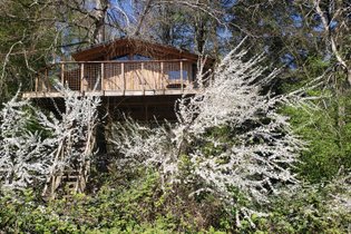 Cabane dans les arbres Eure