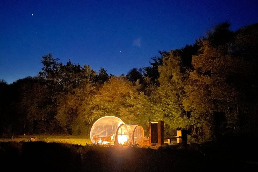 La Bulle de Clotilde — photo 2