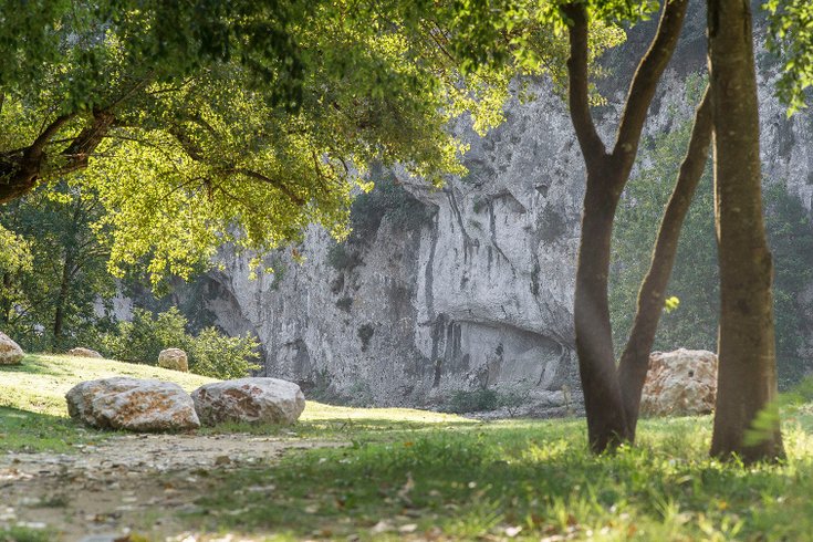 Domaine AbracadaRoom : Préhistoric Lodge - Image 10